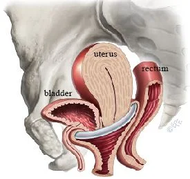 018_Figure5.jpg