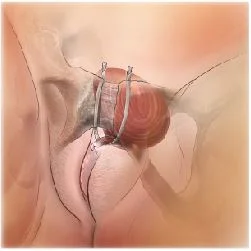 027_Figure1.jpg