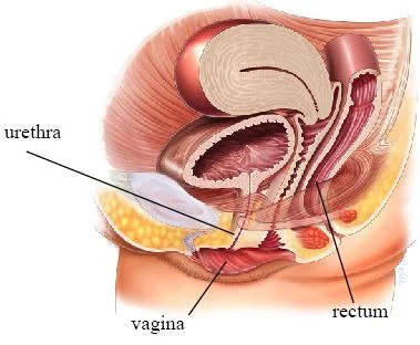 030_Figure2.jpg