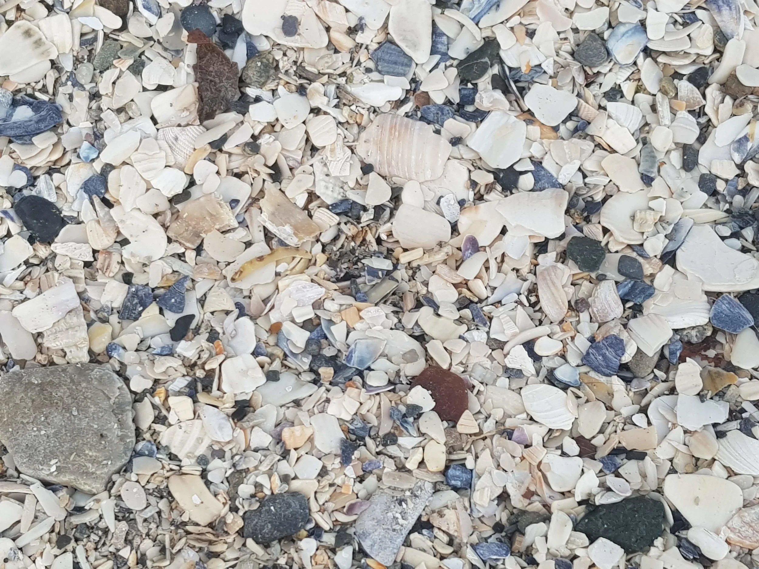 Pebbles in Blacrock.jpg