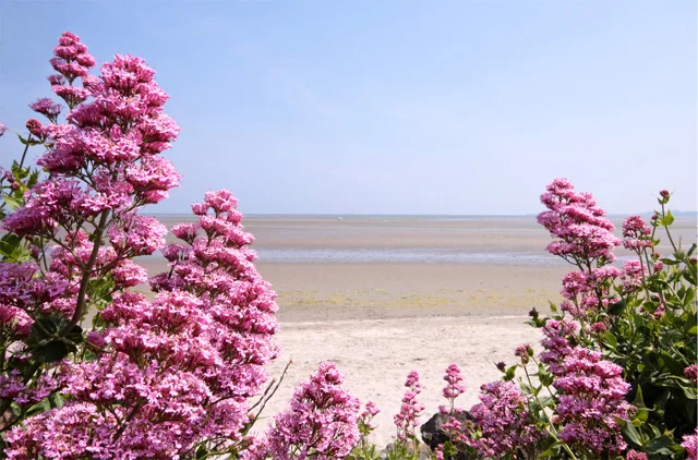 Sunny day on Sandymount strand on the South Dublin coast.jpg