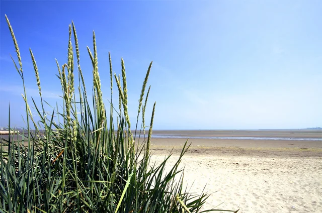 Sandymount on a Sunny day.jpg