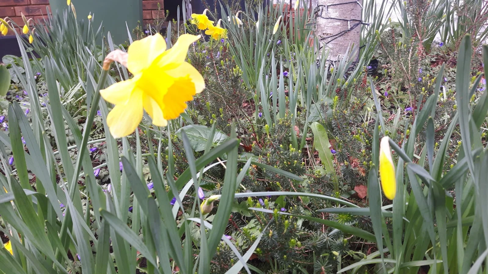 WhatsApp Image 2019-03-04 at 12.47.37 PM.jpeg