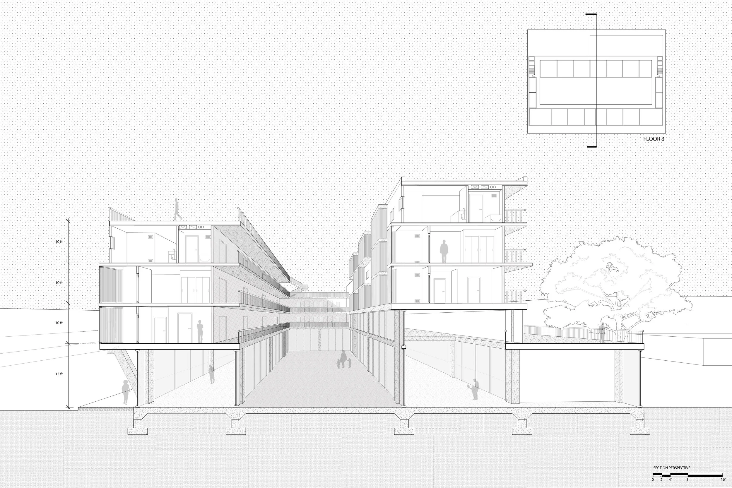 section persepctive-01.jpg