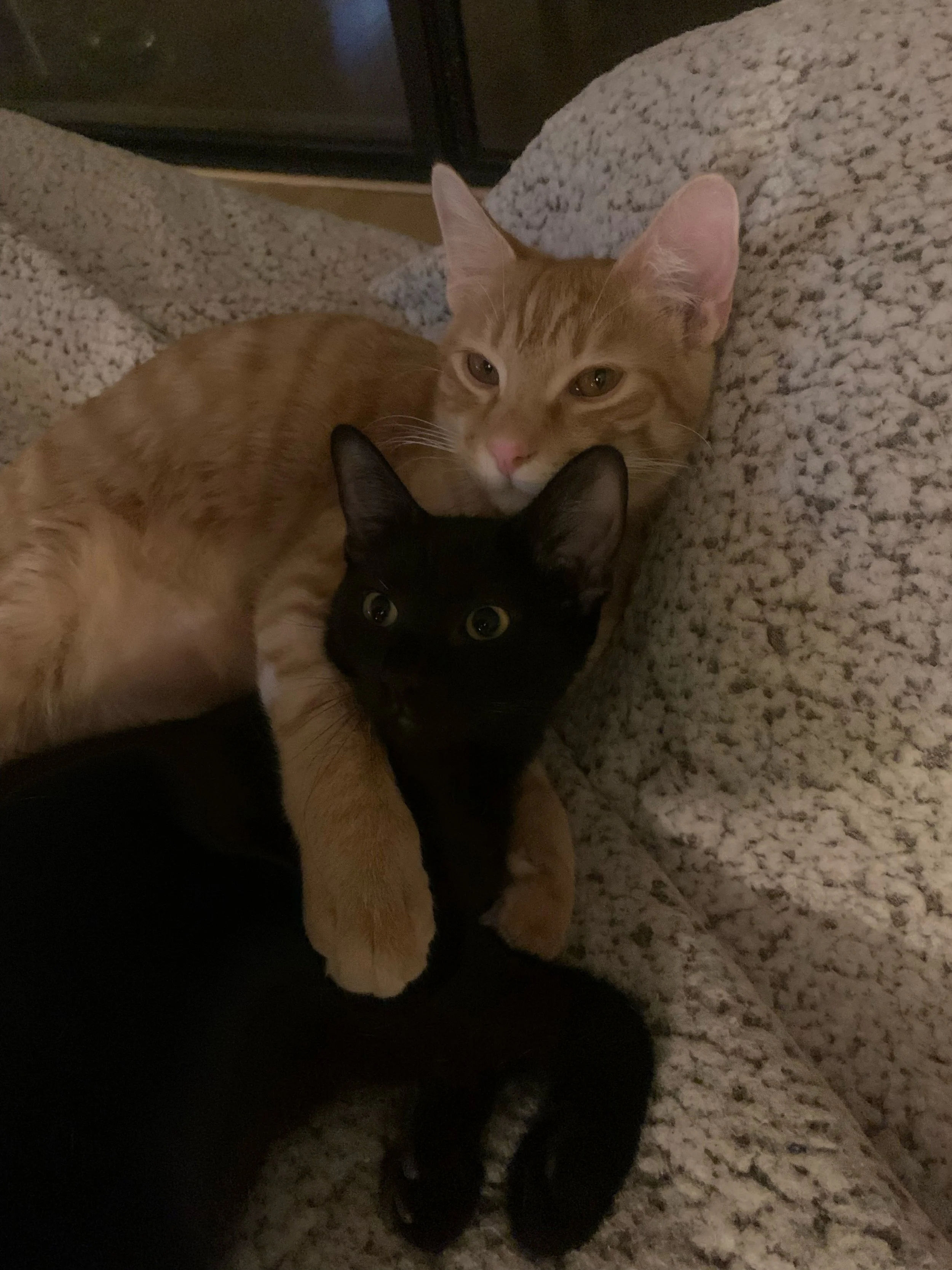 frank & charlie.jpg
