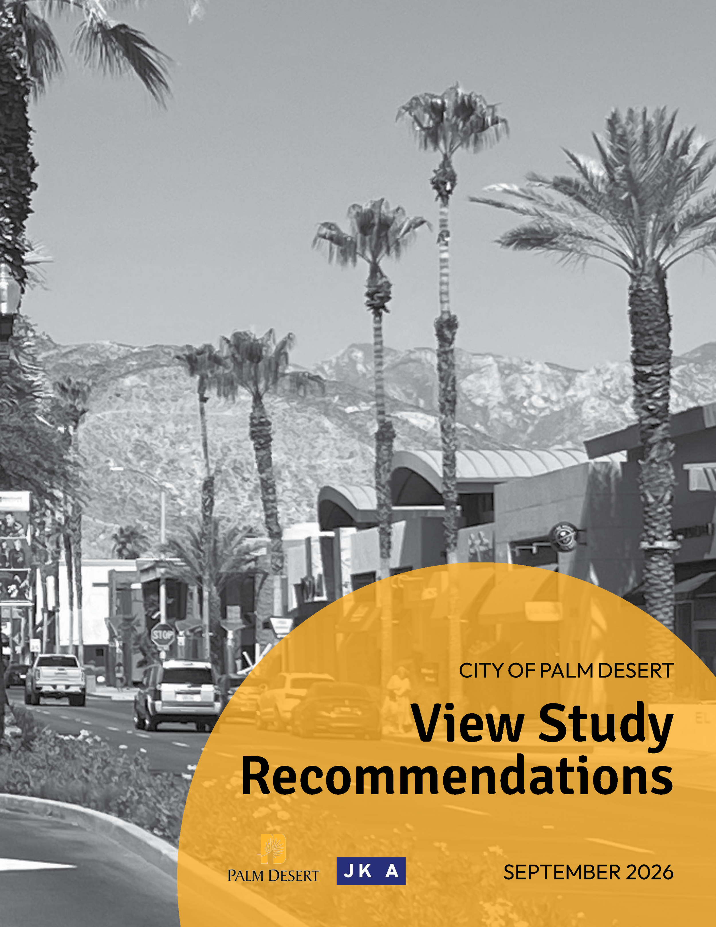 Palm Desert View Study Recommendations Adoption