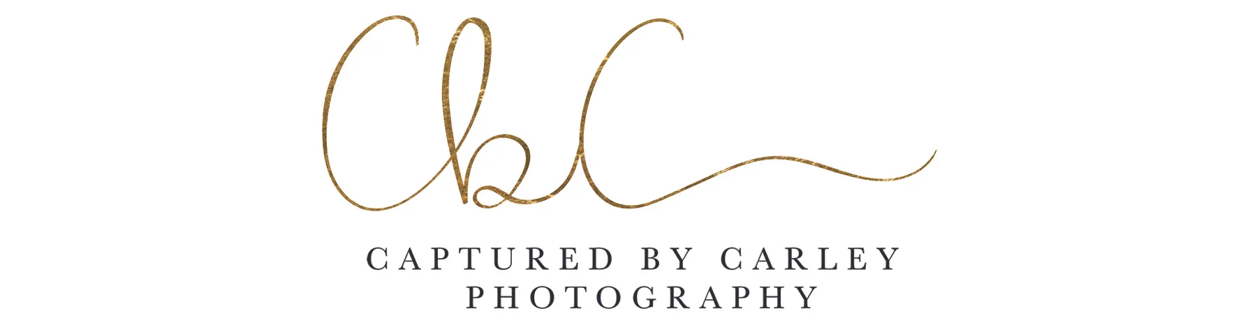 Gold LOGO Only bANNER.jpg