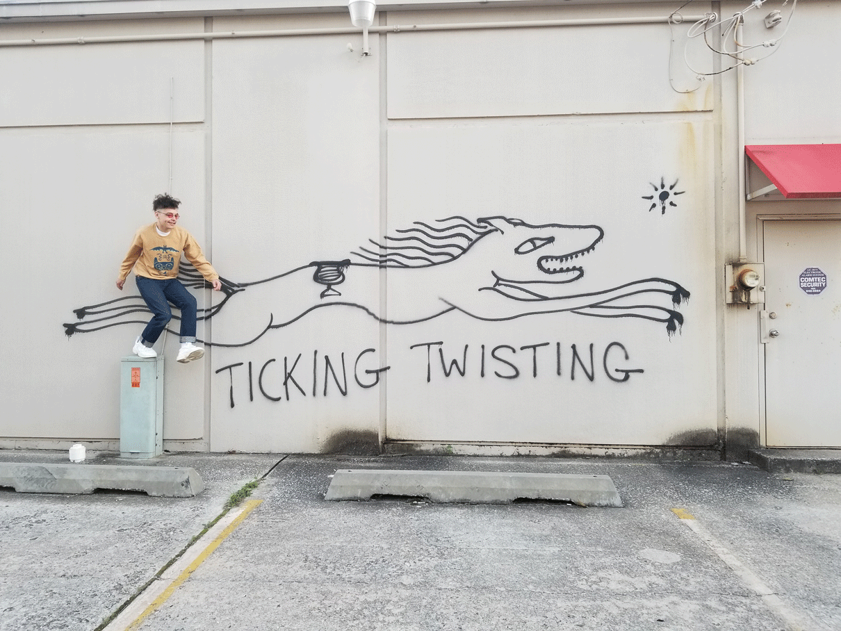 jumpticktwist.gif