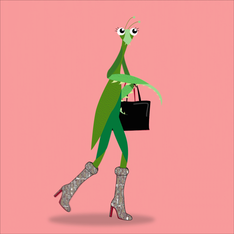 McIndoe_Mantis.gif