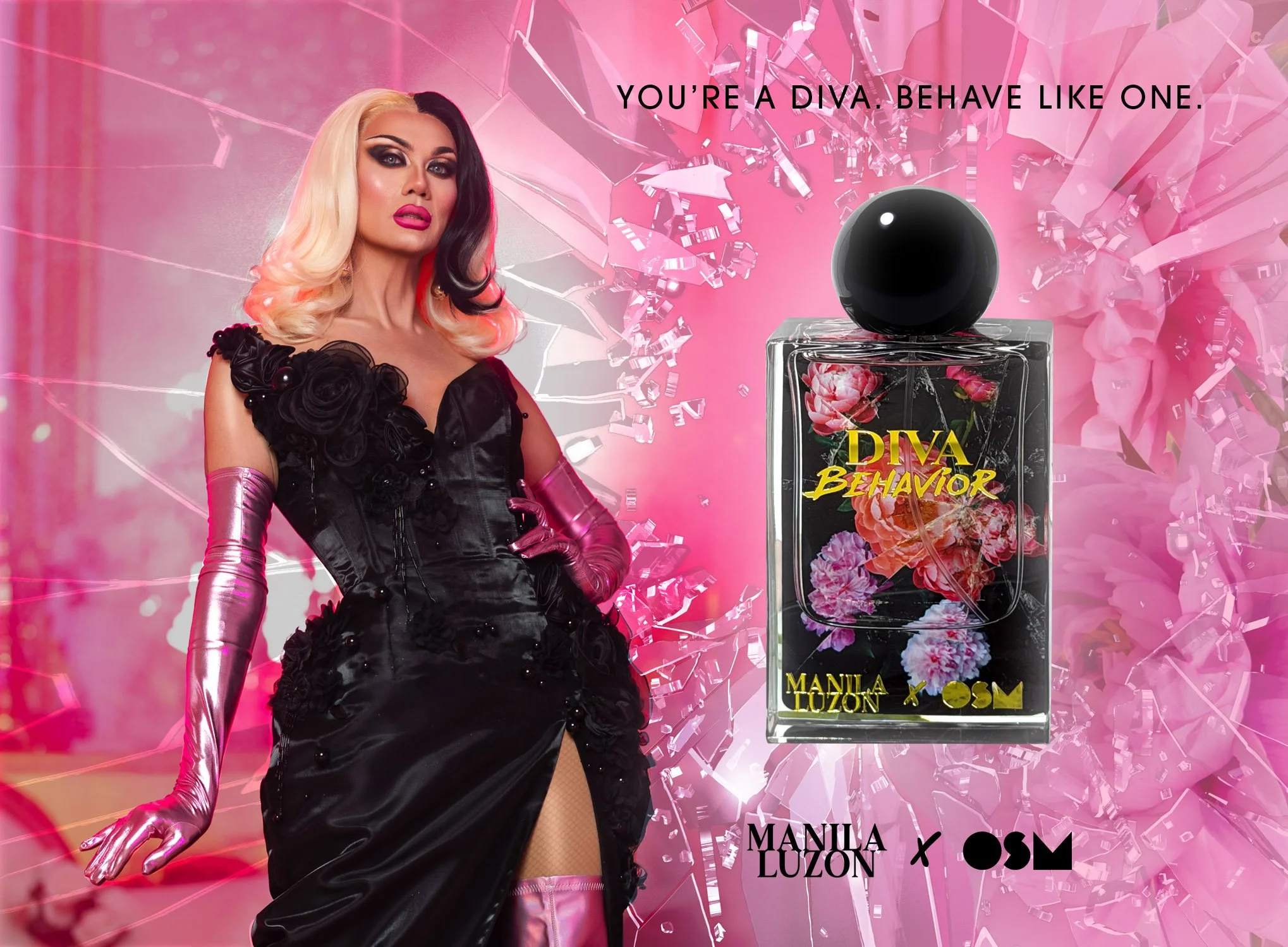 DIVA BEHAVIOR Web Cover.jpg