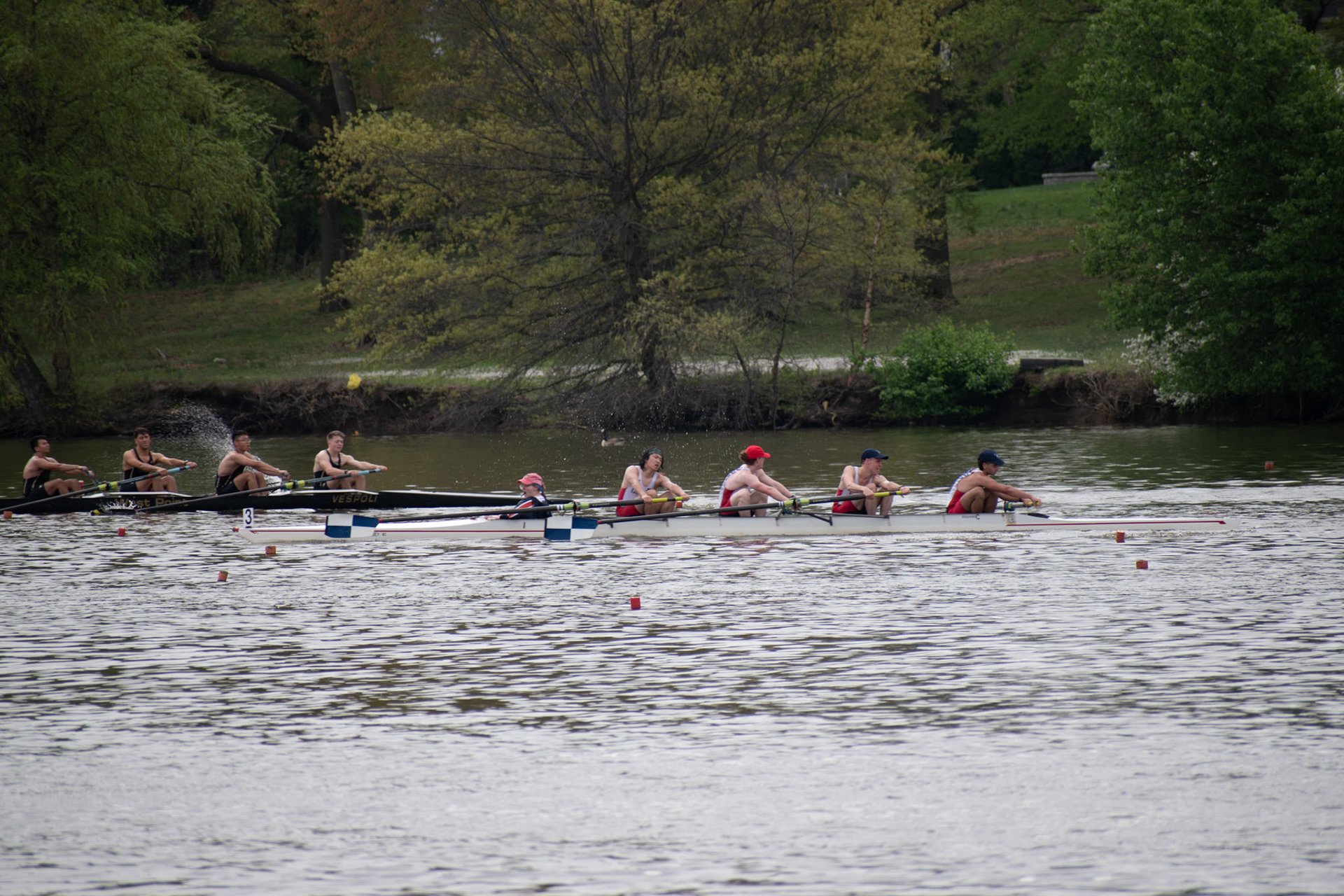 Novice 4+