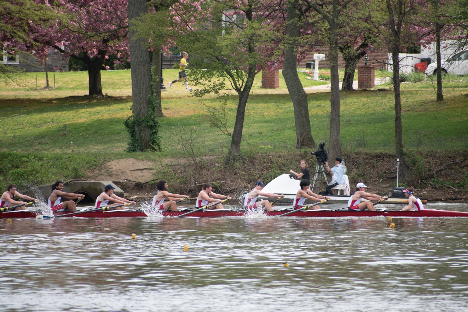 Novice 8+