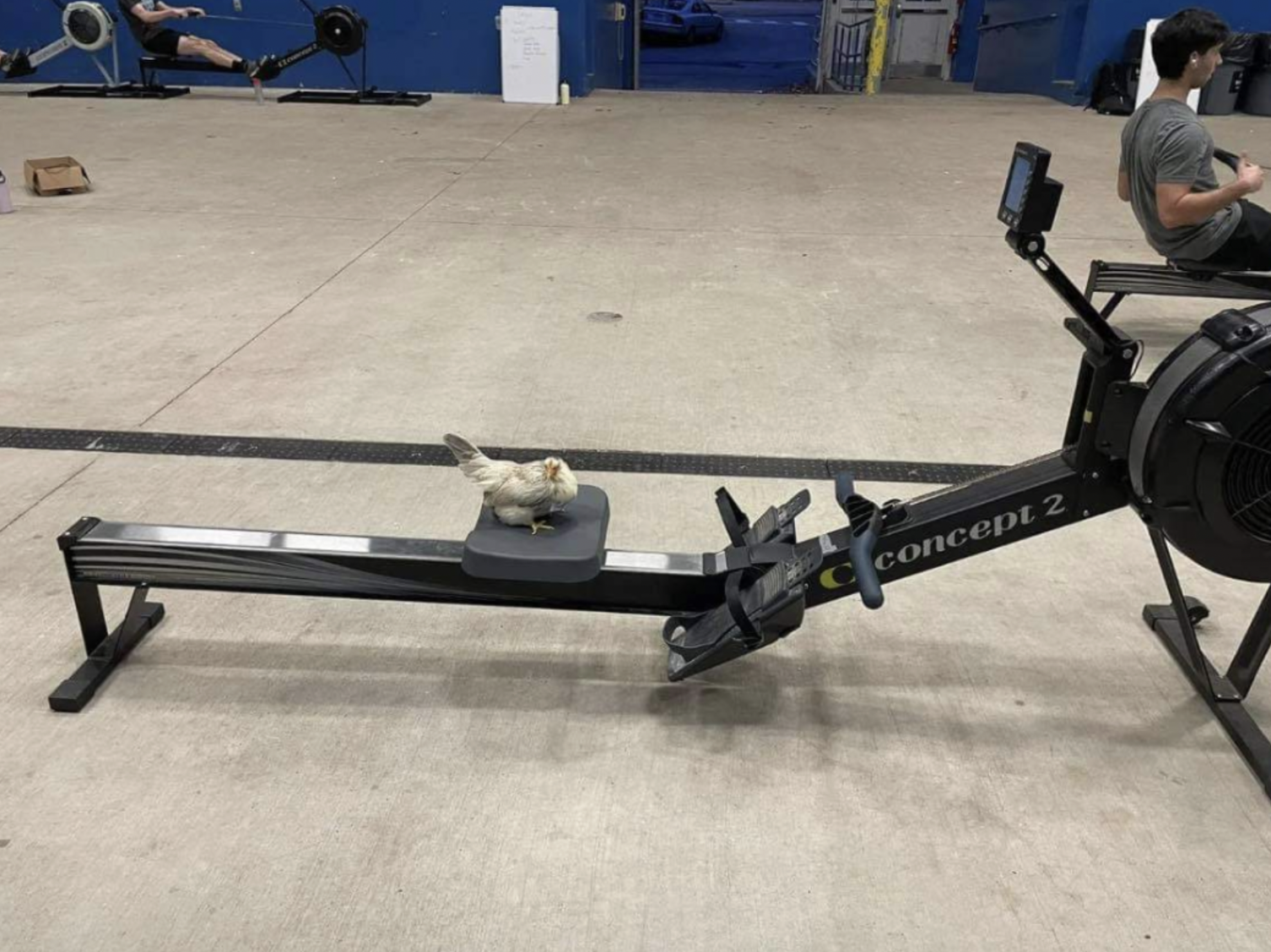 Screen Shot 2024-08-08 at 8.49.28 PM.png