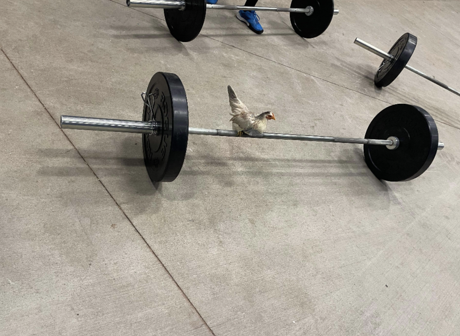 Screen Shot 2024-08-08 at 8.59.58 PM.png