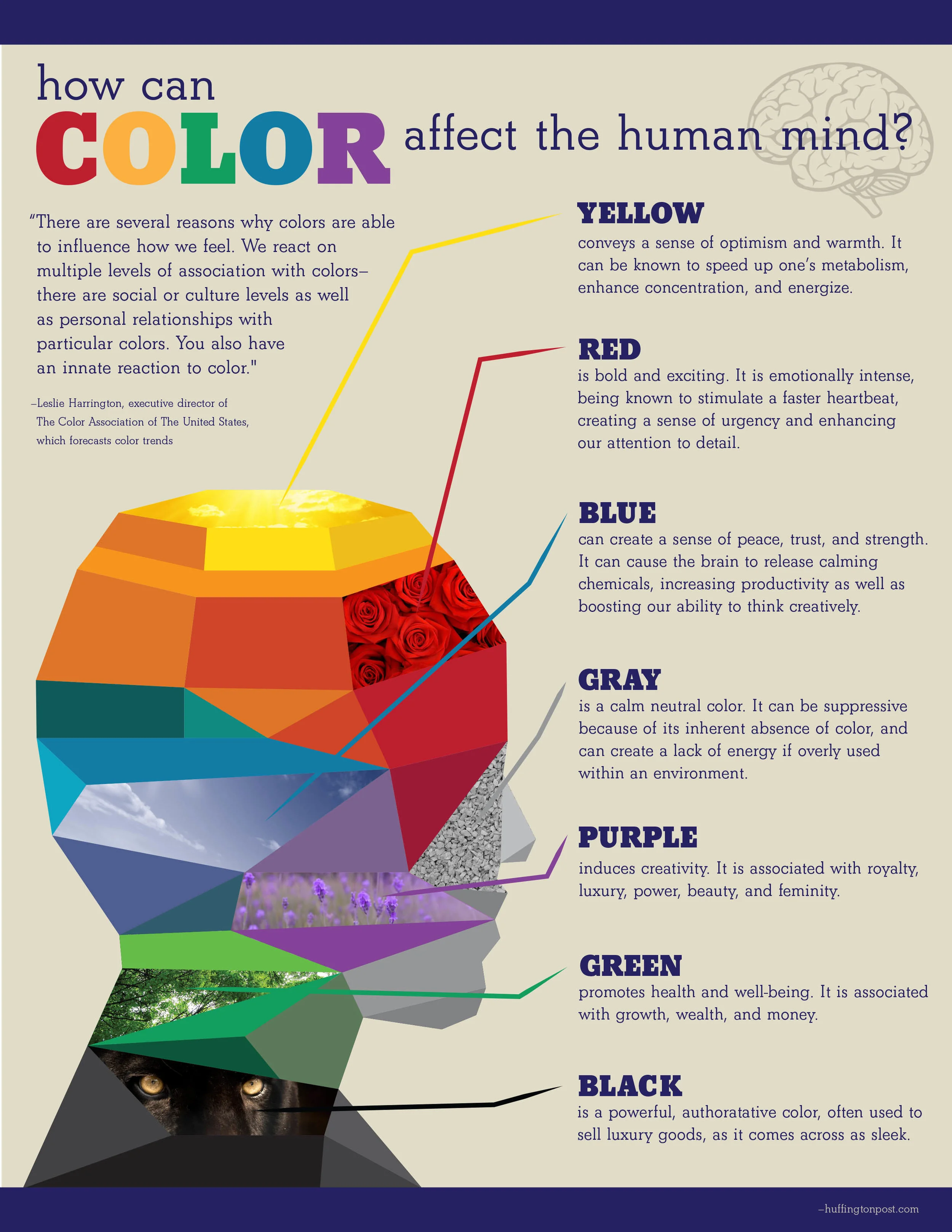 -infograph.jpg