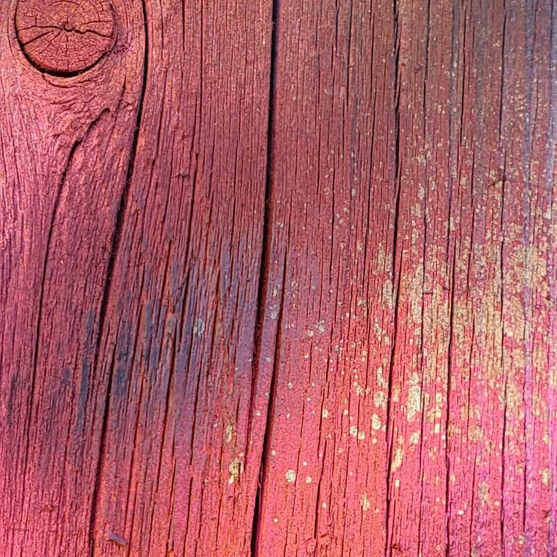 Sand Castles Circumstances (Separation Anxiety)