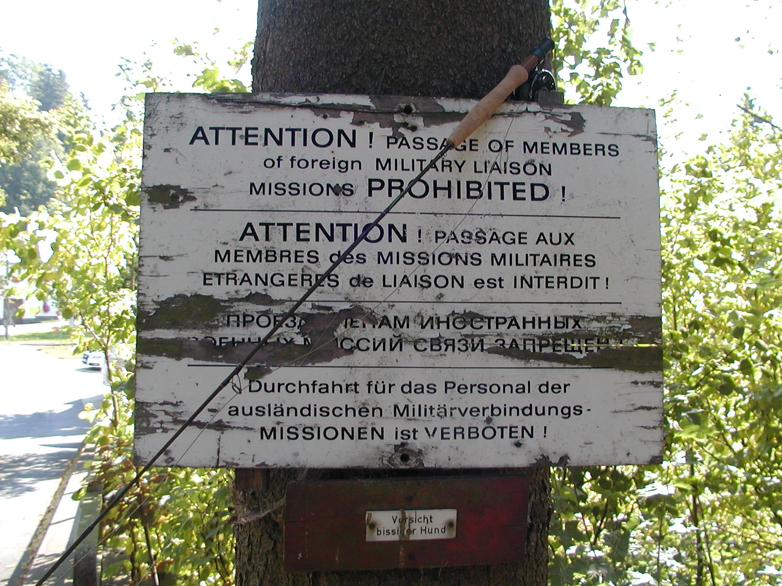 P1010175.JPG