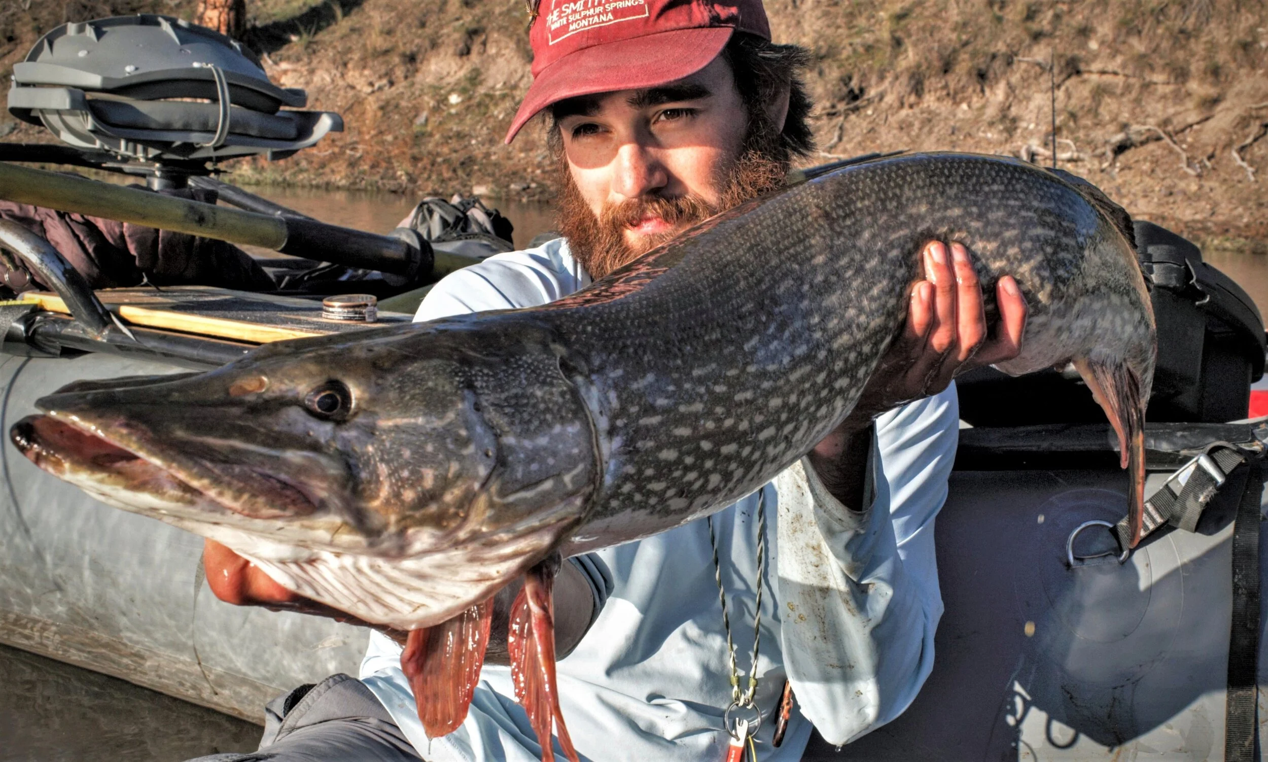 big_pike.jpg