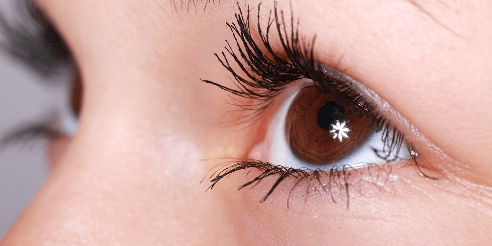 Eye Cream.png