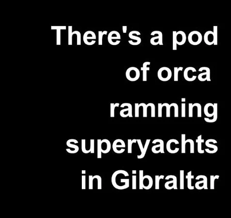 OraTile.jpg
