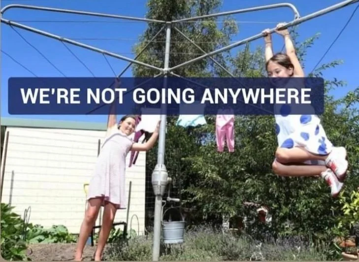 Airdri Clotheslines Newcastle A Hills Clotheslines Quality Stockist