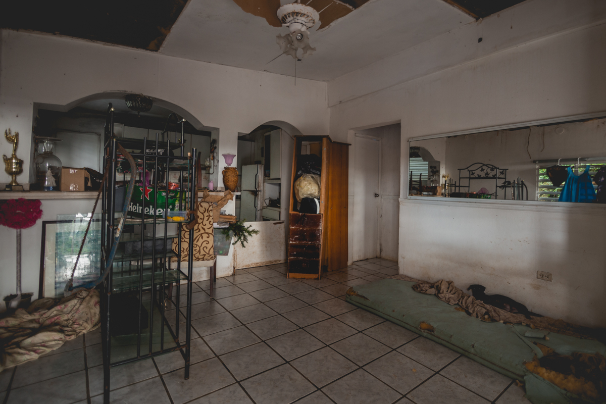 An elderly woman (75) lives in this house with her pets. She has “adopted” homeless dogs, and given them a shelter within an abandoned house that is in currently bad conditions since the hurricane. December 27, 2017.