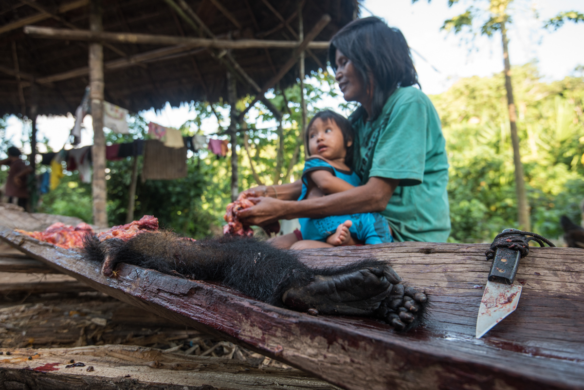 A Matsigenka mother holds her child as she prepares a fresh spider monkey kill in Caocatl. Tradition and park regulations require all hunting to be done with handmade bow and arrow. Despite its cultural significance and nutritional importance, monkey hunting is opposed by park conservationists, causing the natives to defend this fundamental tradition as a culture who has existed for thousands of years as protectors of that land. April 24, 2016.