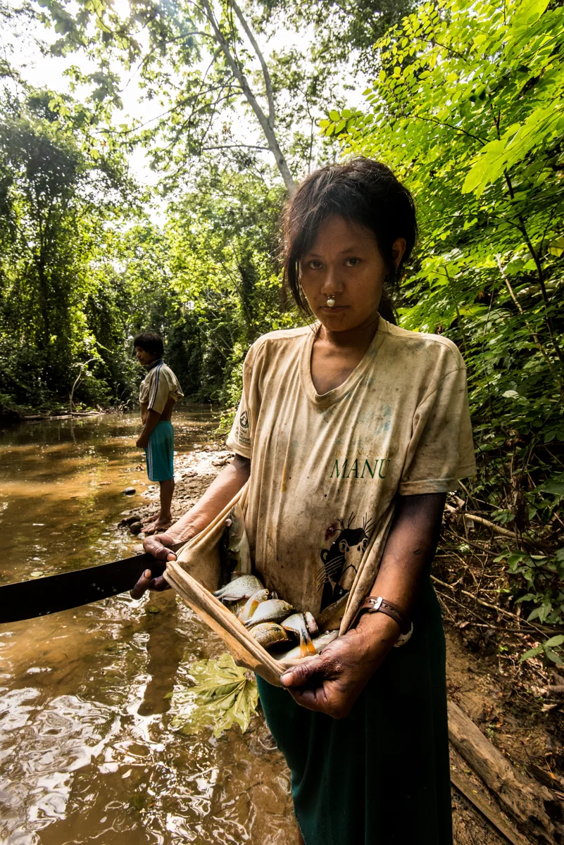 Isabel, a Matsigenka woman, holds a bounty of fish cupped in her shirt that she and her family gathered while fishing. A Yomibato native, Isabel holds true to many cultural traditions, such as her family's fishing method and her role in her family. She has also embraced change as indicative in her attire and wrist watch. The average Matsigenka woman marries around age 14, wears her traditional handspun cushma and has an average of eight to ten pregnancies. April 24, 2016.