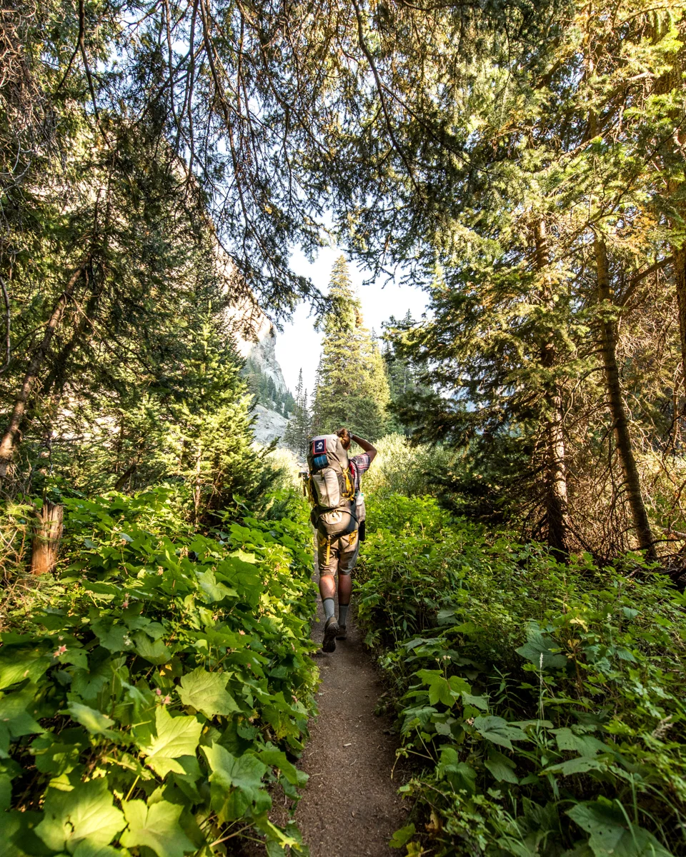 July 2016. Teton Crest Trail, Grand Teton National Park, Wyoming.