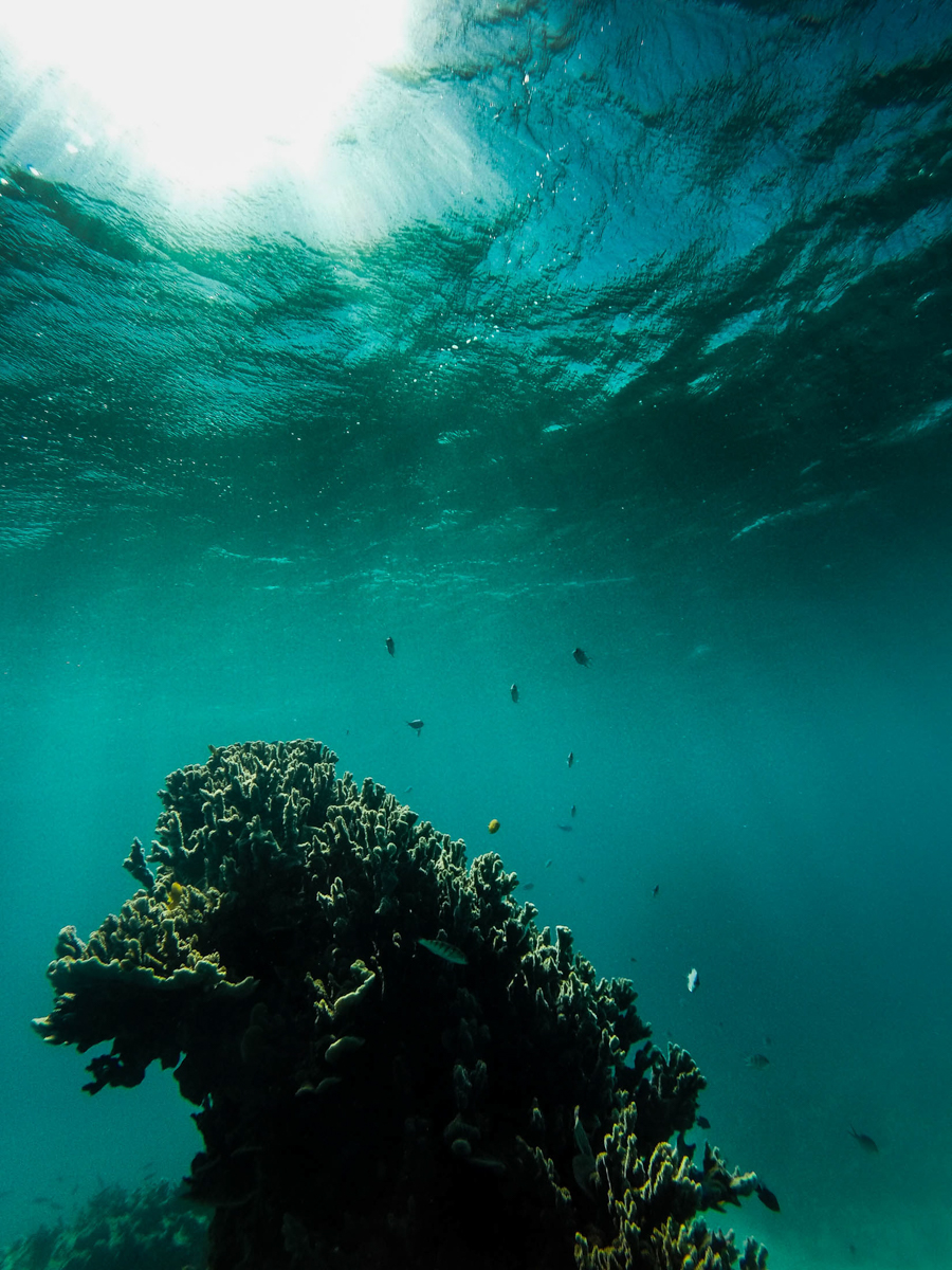 July 2014. Great Barrier Reef, Australia.