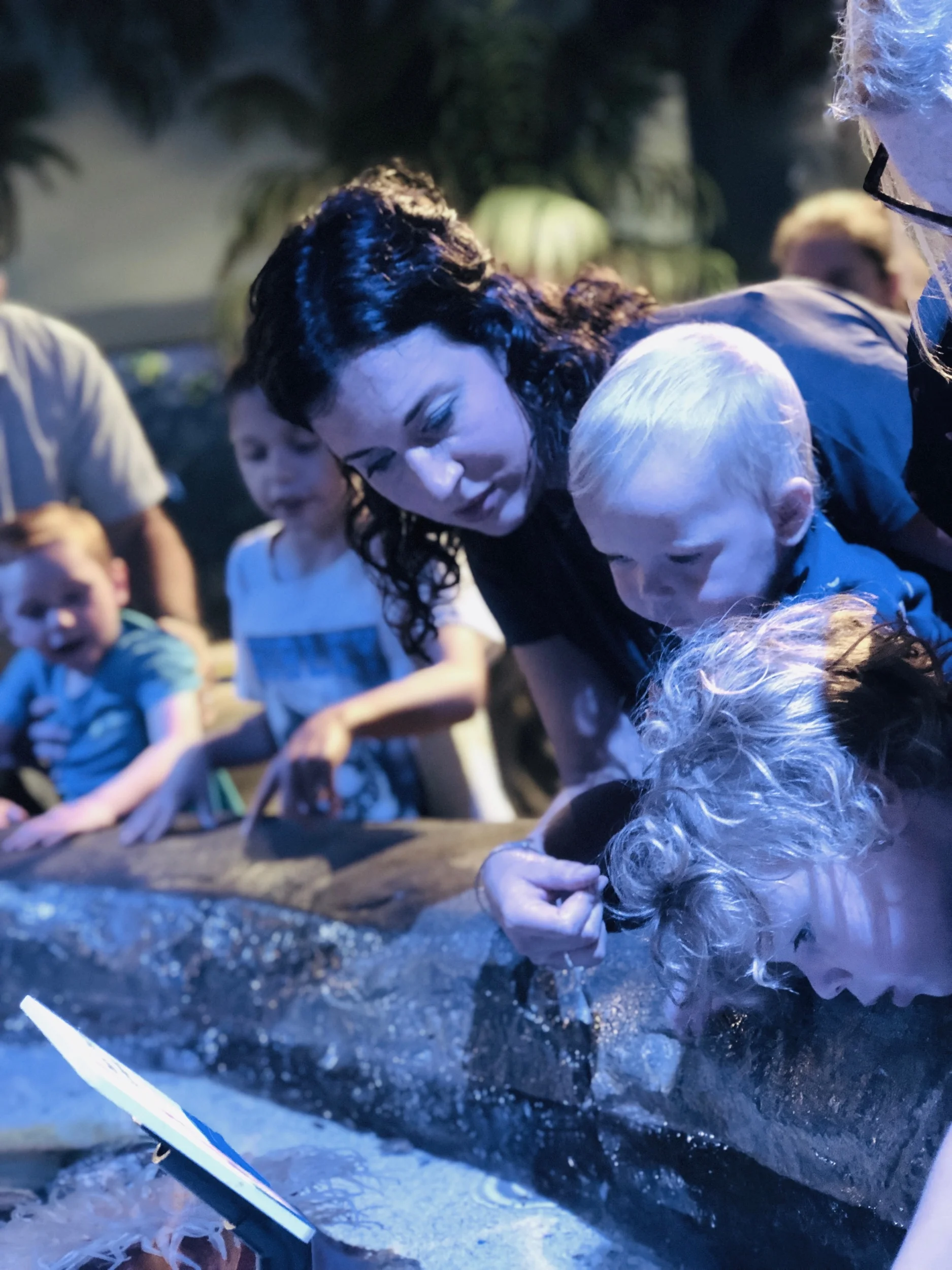 Max, Liam, & I exploring the touch pool at the Newport Aquarium on our day trip