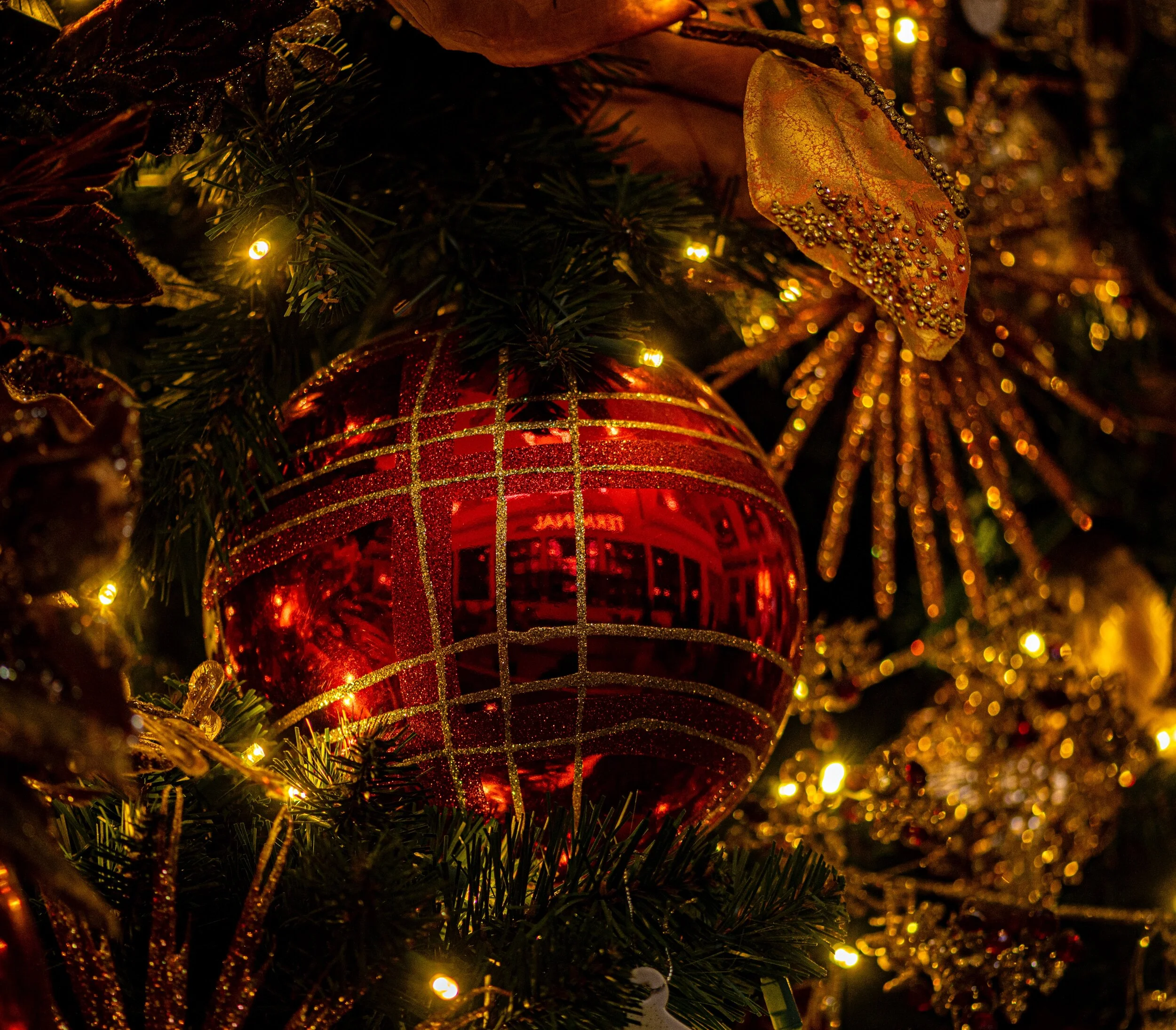 Community Tree Lighting