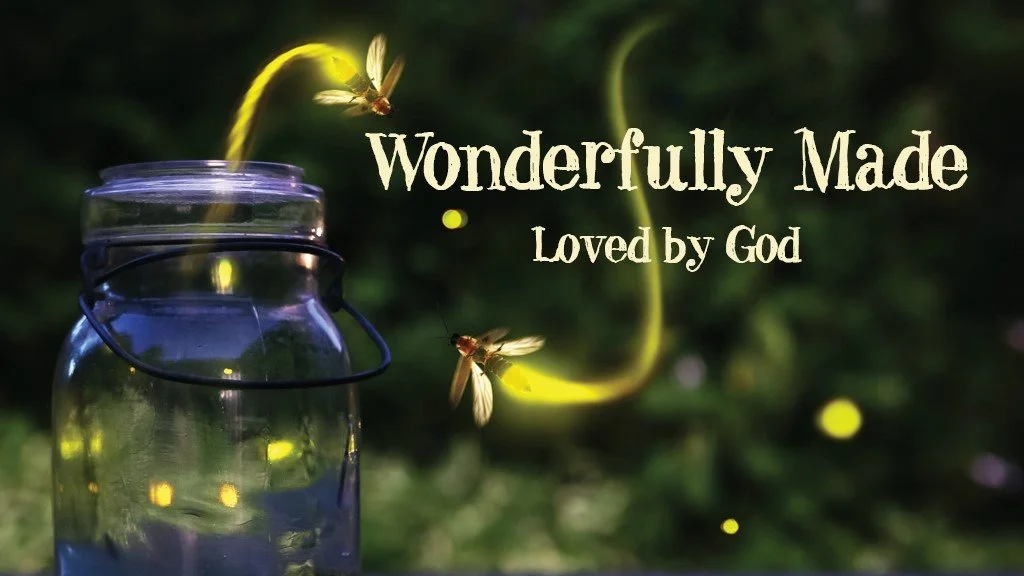 Wonderfully Made for 5th and 6th Graders