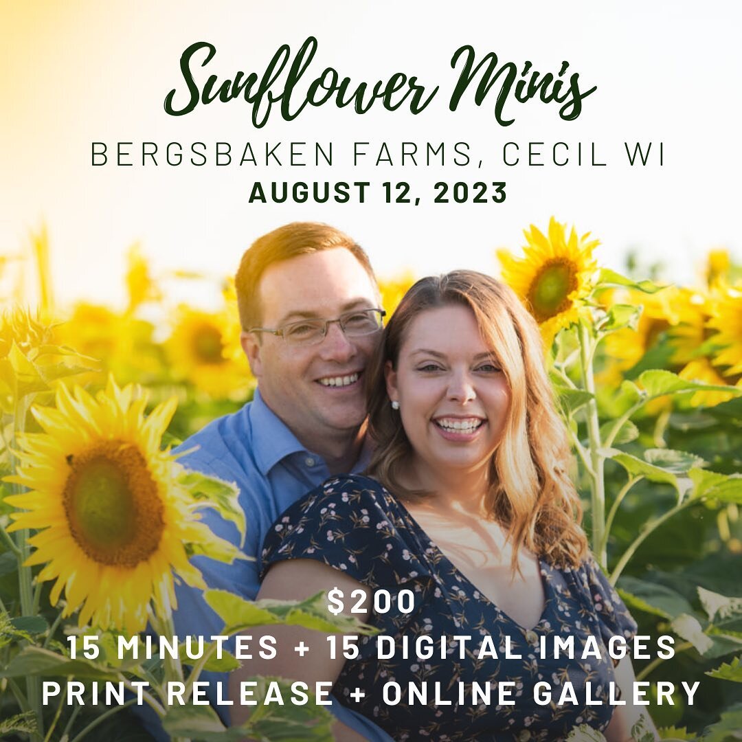 Come capture some memories in a gorgeous sunflower field with me! 📸 Contact me today to schedule your time slot!