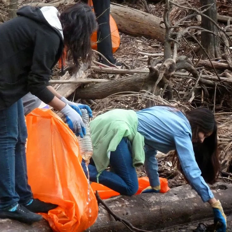 Volunteers working together at a Jordan Lake shoreline cleanup event