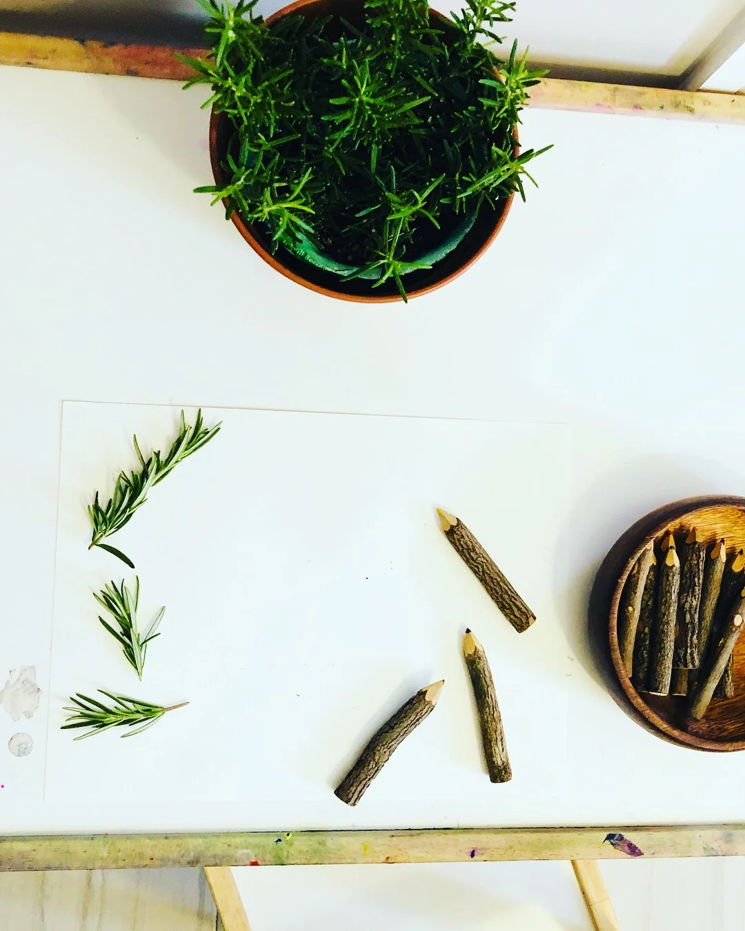 Rosemary 