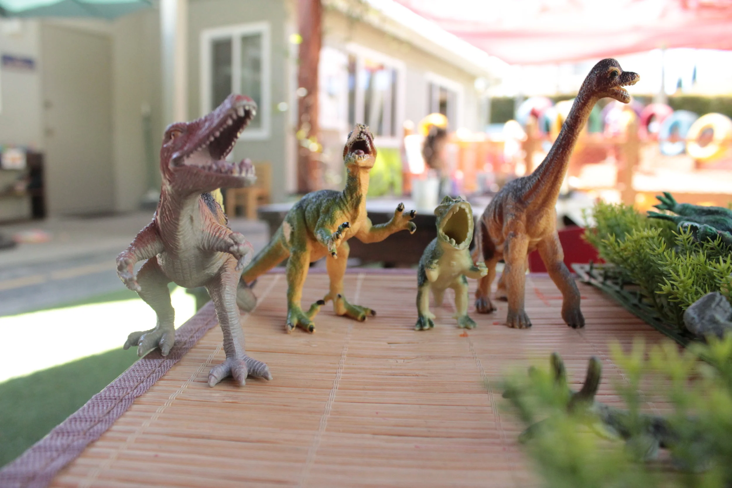 Small World Play