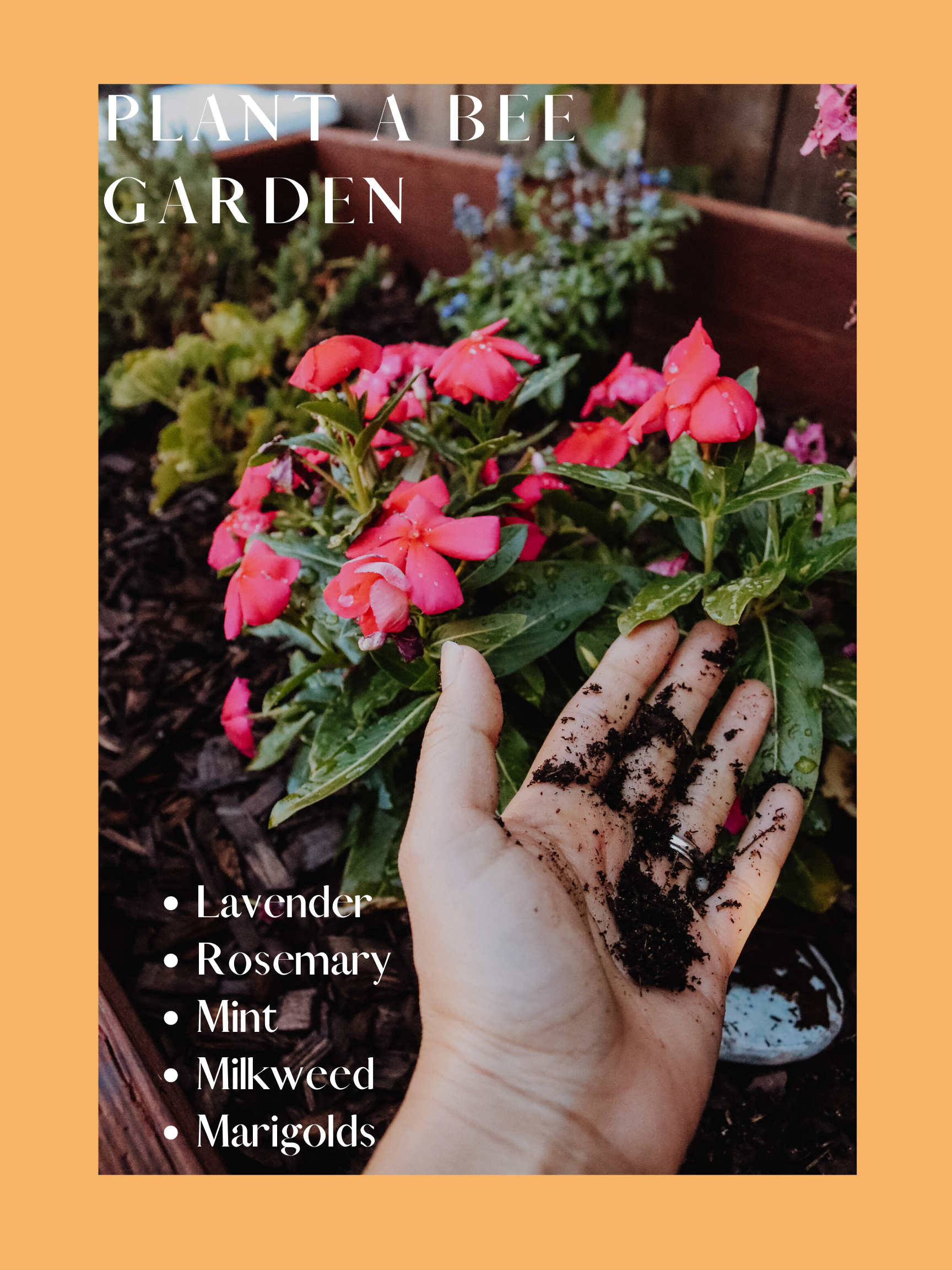 C4FE623A-7B95-41B3-8F69-5E6455735A4D