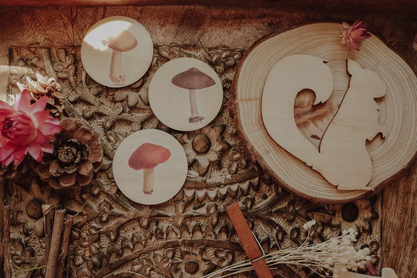 Our woodland forest play kit is one of our favorites!! 
.
.
As we&rsquo;ve been exploring hiking trials in LA we have been documenting mushrooms findings! It&rsquo;s been awesome! 
.
This set is definitely inspired by our love of nature! 
.
.
We reco