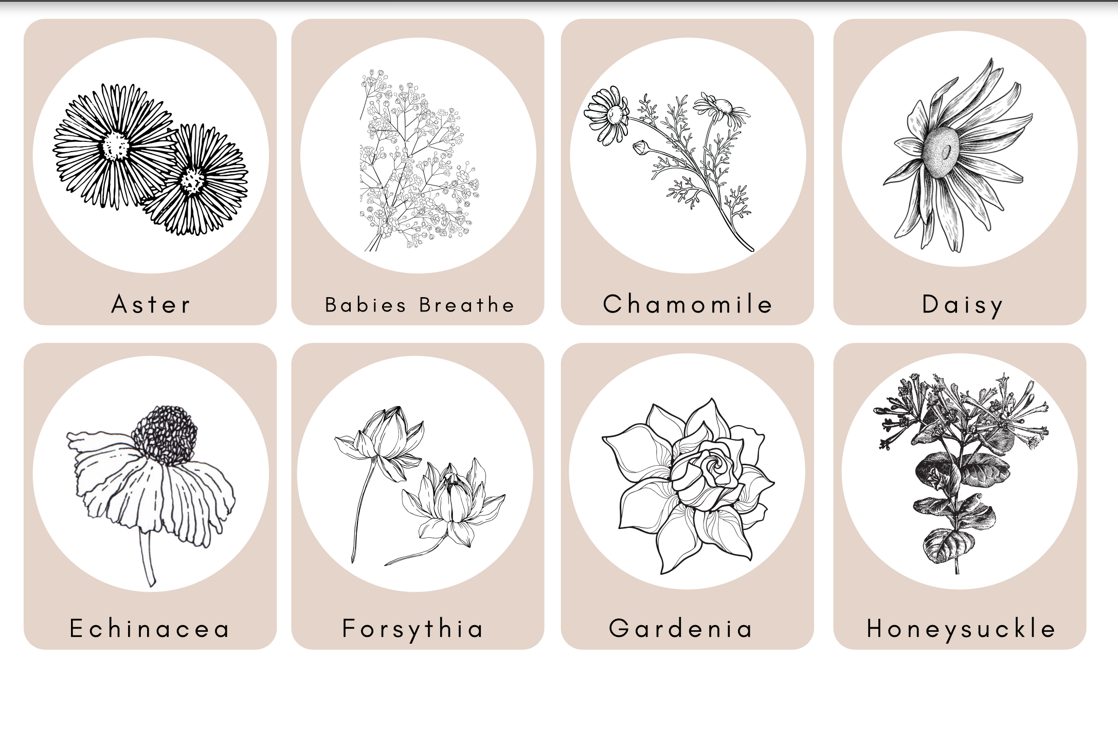 Screen Shot 2021-04-13 at 12.41.35 AM.png