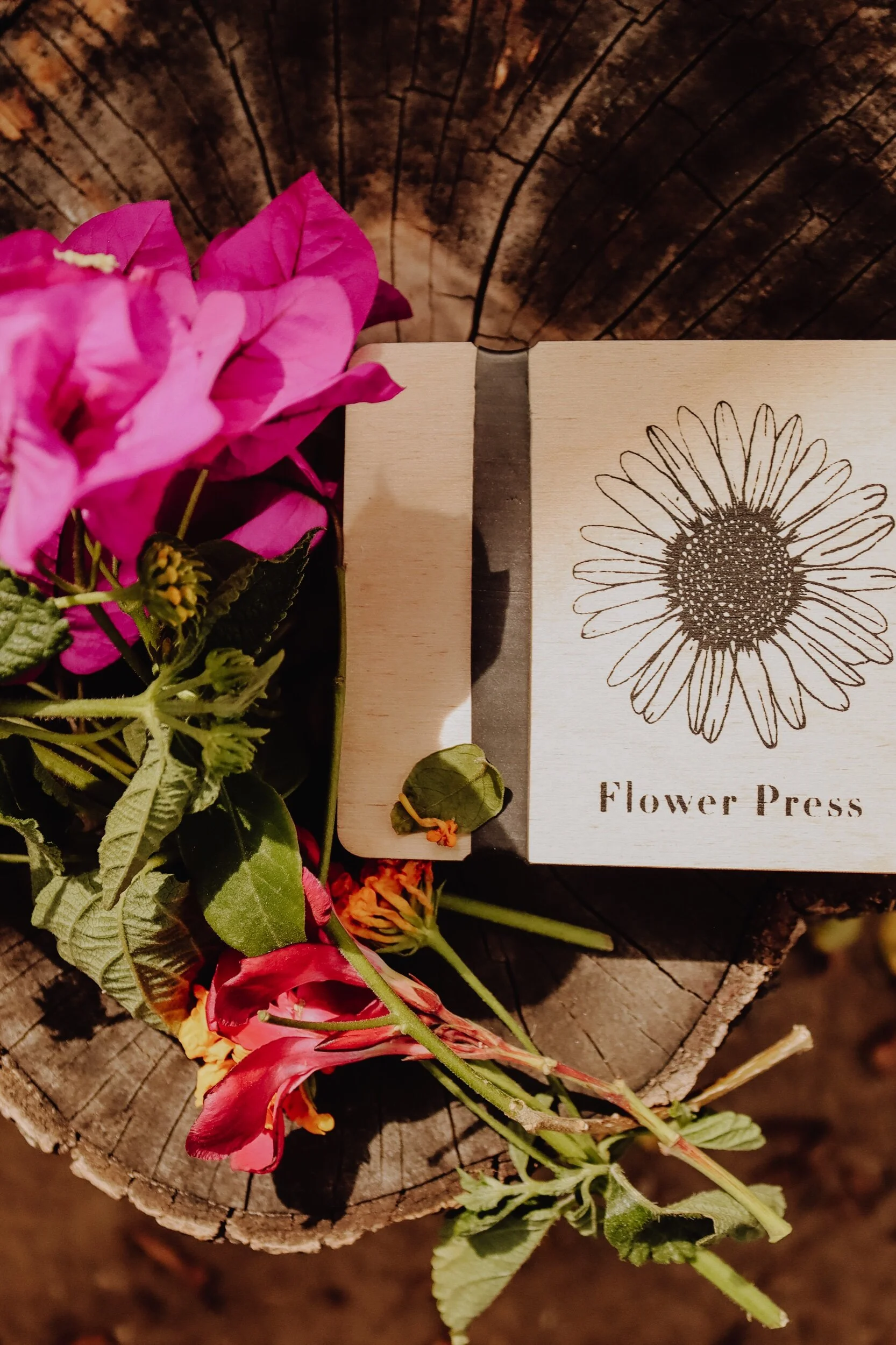 FFABF069-7BC4-4CFB-A338-FCBDA86F962E