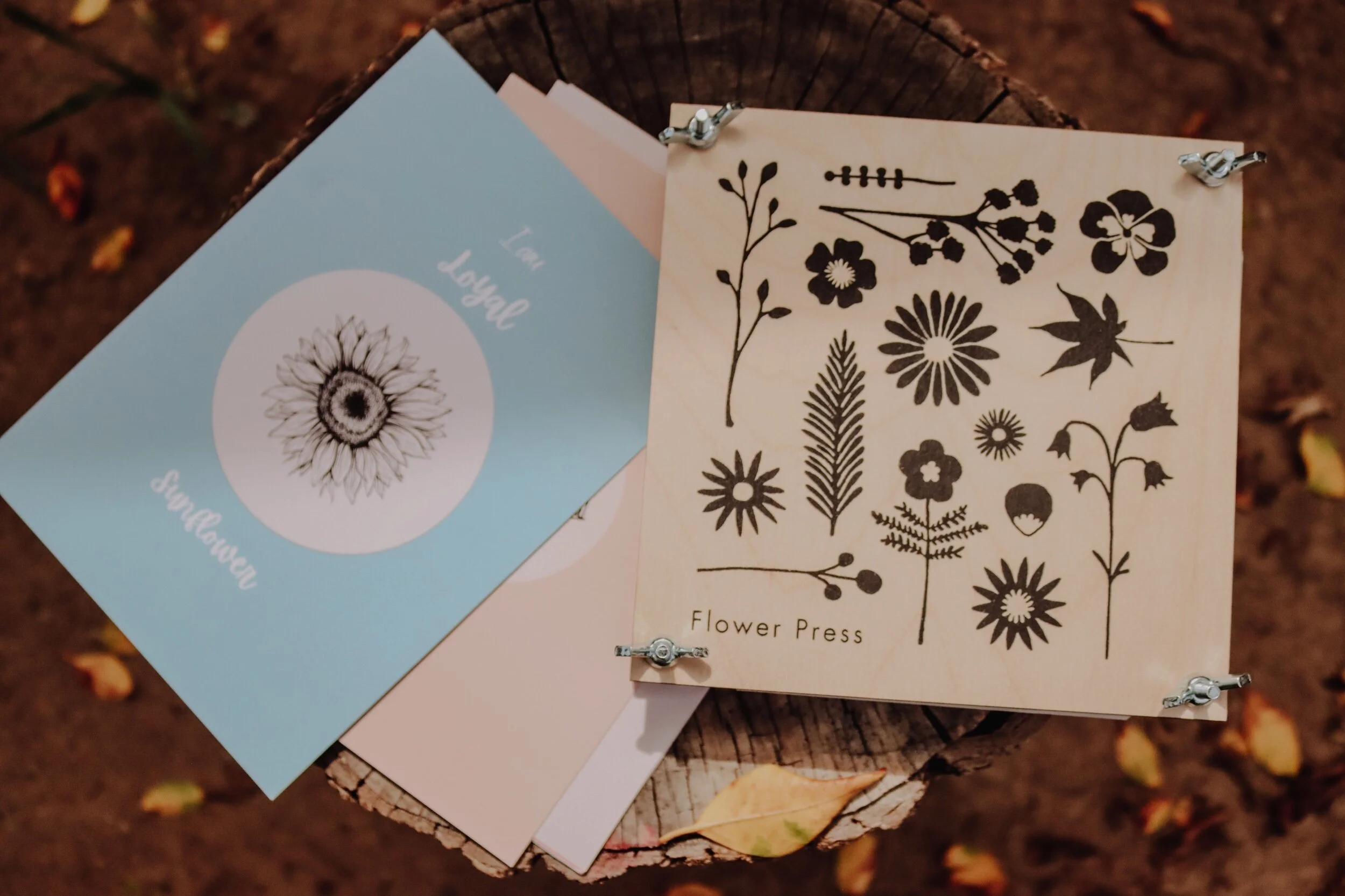 D1725FAD-822B-40B7-BCD0-828256609725