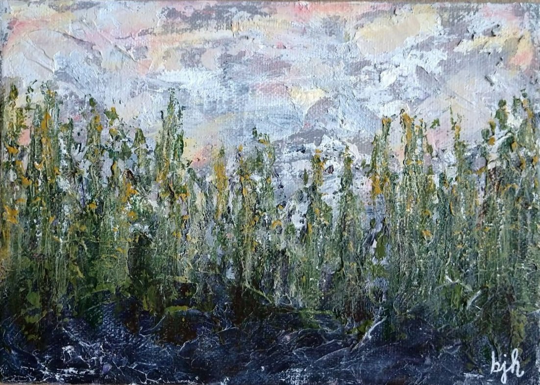 A Safe Place Somewhere In The Woods