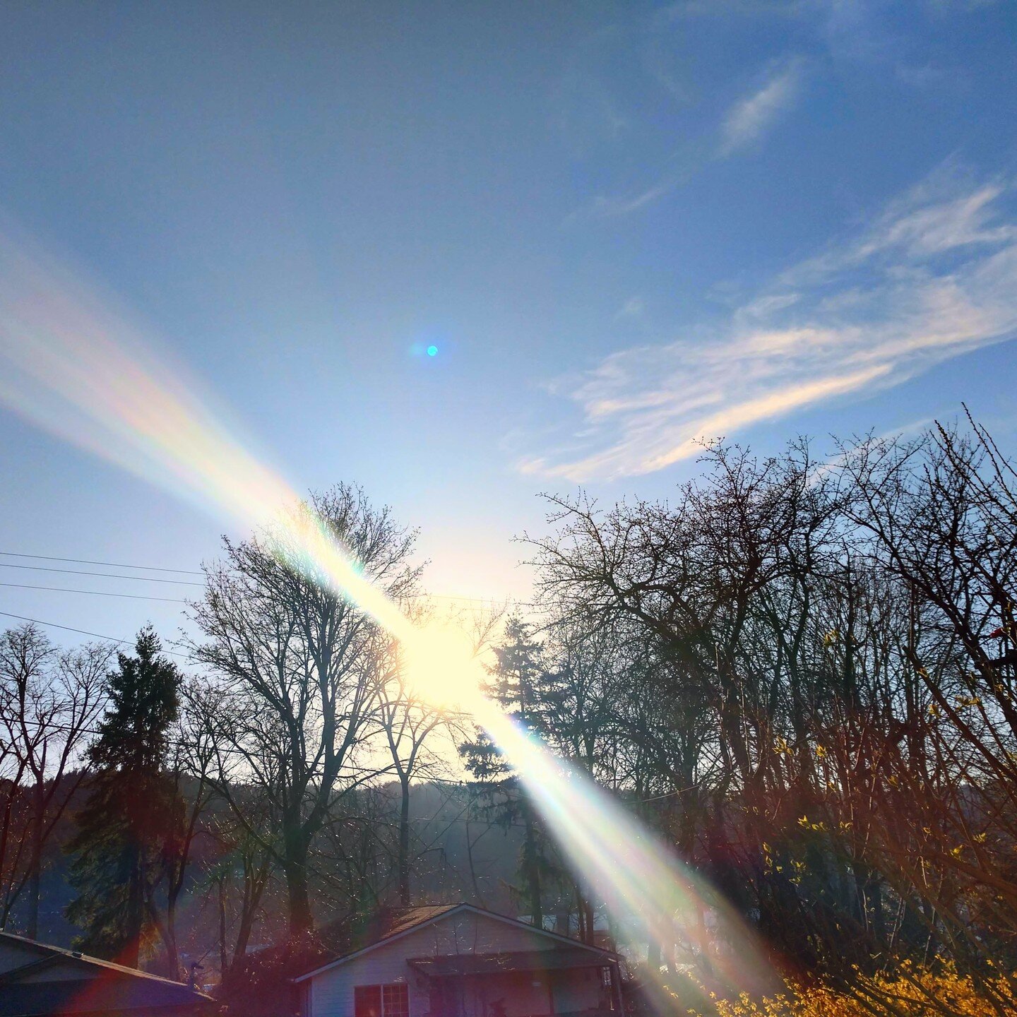 Good news! I received my results on Thursday and all tests came back benign! I took this picture from my front porch that evening, glad for the amazing run of Spring weather we've been having that has felt like its own kind of celebration. Along with