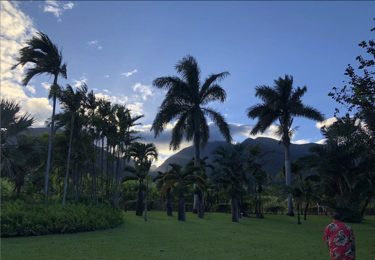 Prepare for your magical island trip on Maui