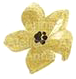 Flower_4.png