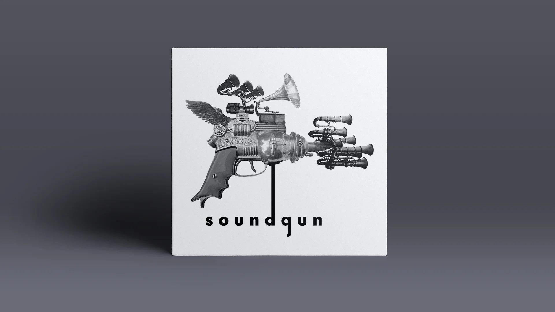 3.SOUNDGUN-insitu.jpg
