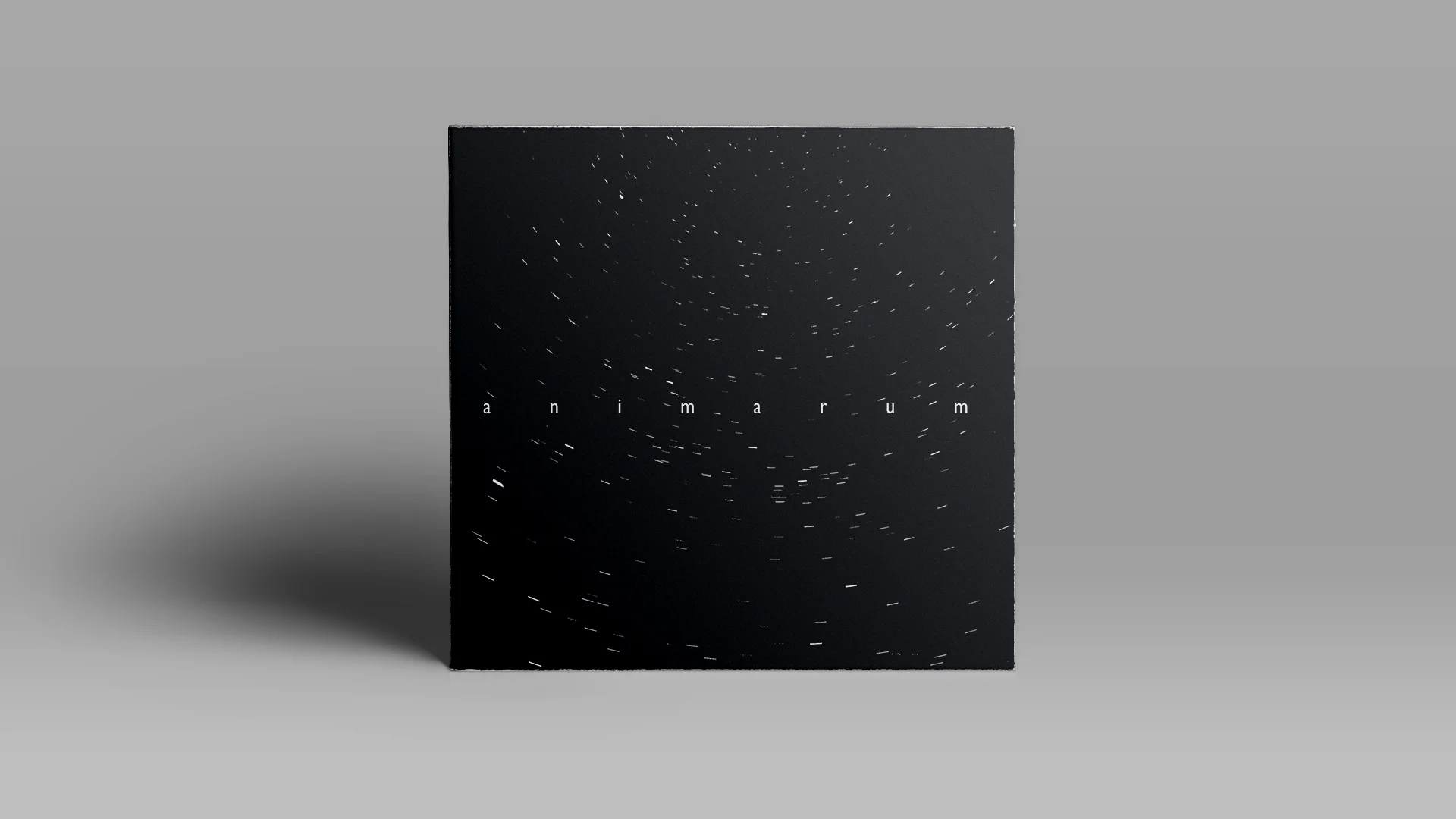 4.ANIMARUM-insitu.jpg