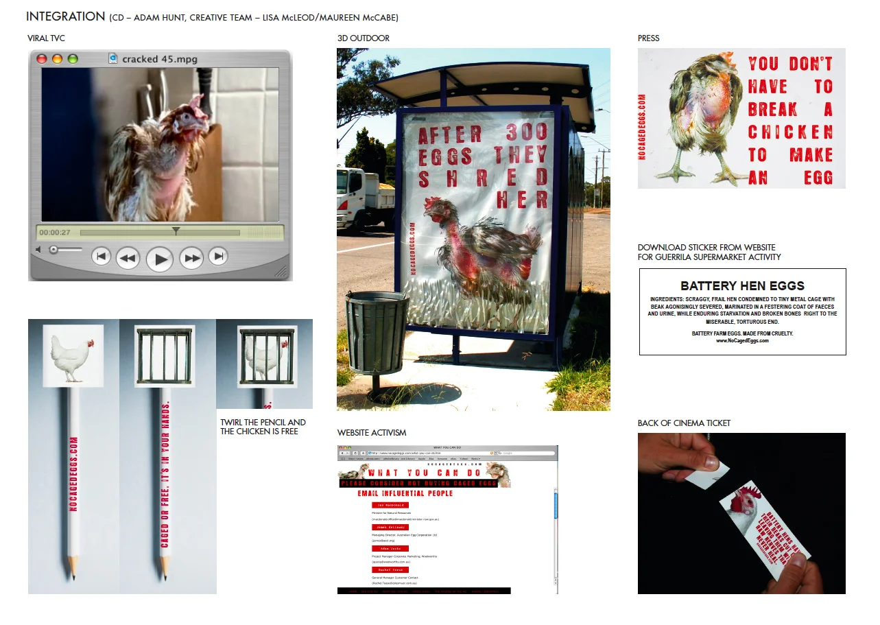 7a.ANIMAL LIBERATION.jpg