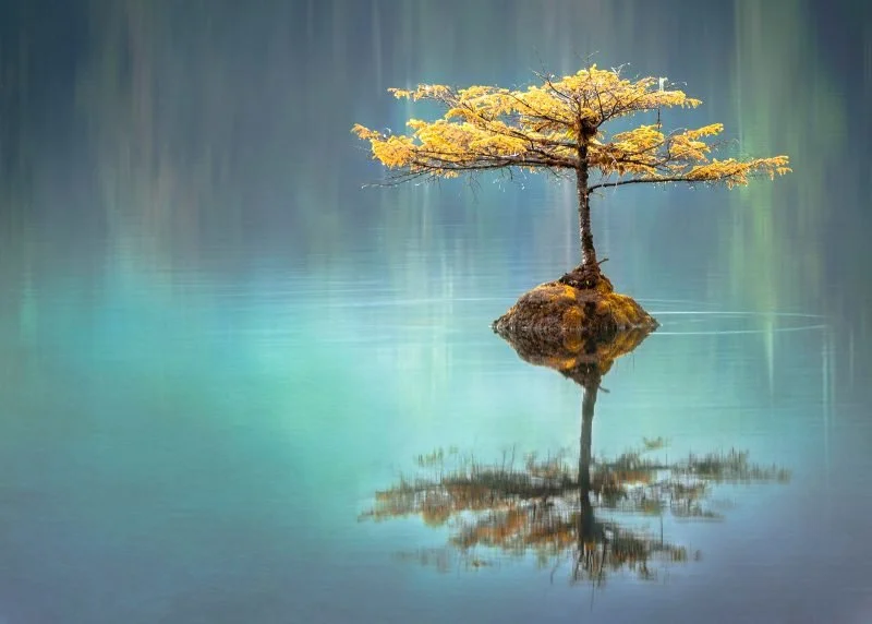 Symmetry in Photography: Create Balanced and Powerful Compositions ...
